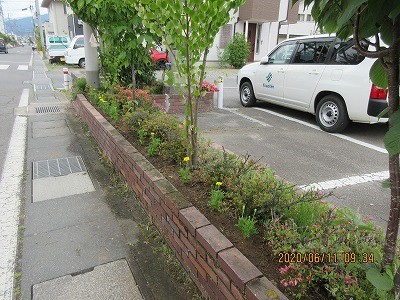 長野県建設業協会から頂いたマリーゴールドを花壇に植えました！