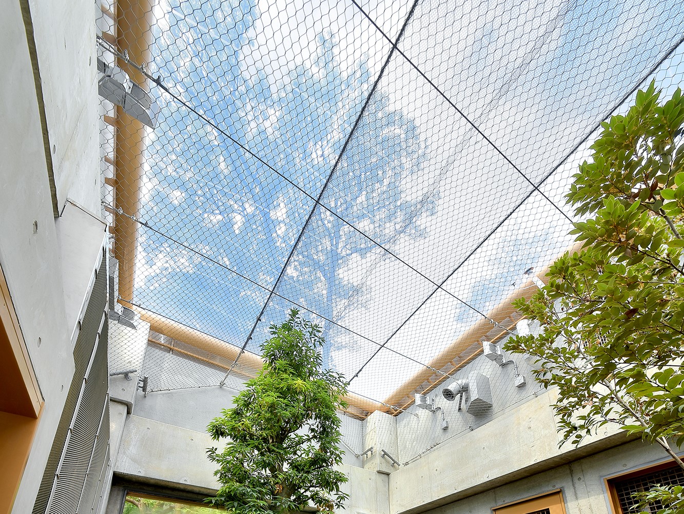 茶臼山動物園「オランウータンの森」　②空が見える快適素材 ETFEを採用