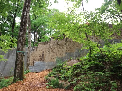 茶臼山動物園「オランウータンの森」　④優しい壁になりますように！